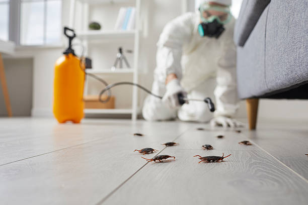 Post-Treatment Bed Bug Interceptor Monitoring in Chadds Ford