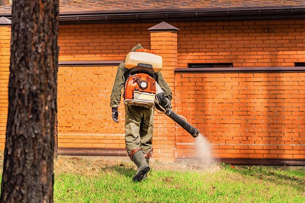 Bed Bug Clearance Verification and Documentation in Chadds Ford